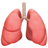 :lung: