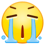 :bd19: