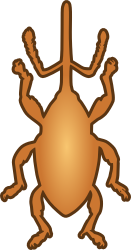 :weevil:
