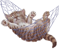 :cat_hammock: