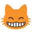 :smile_cat:
