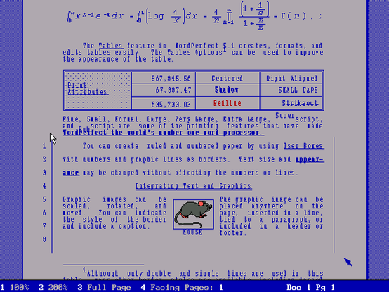Print preview of a document showing a complex equation, a table, columns and an image