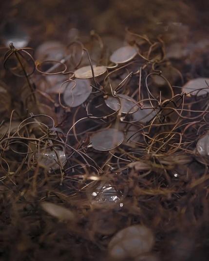 Pile of eyeglasses