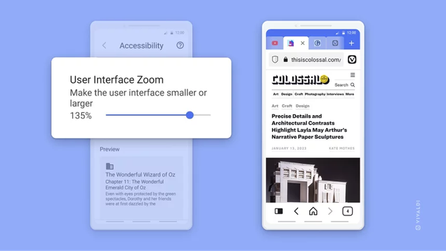 User Interface Zoom example.

"Make the user interface smaller or larger"
Then a sliding bar showing the zoom is set to 135%