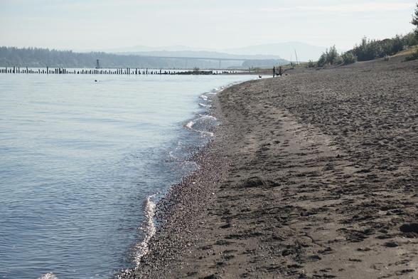 View along Columbia River Shoreline with a gravel and sand slope into a gently flowing rippled river.  In the distance are wave dampening groins and the Interstate 205 bridge, the Vancouver/Camas forested terrace and the Cascade Mountains on the horizon.