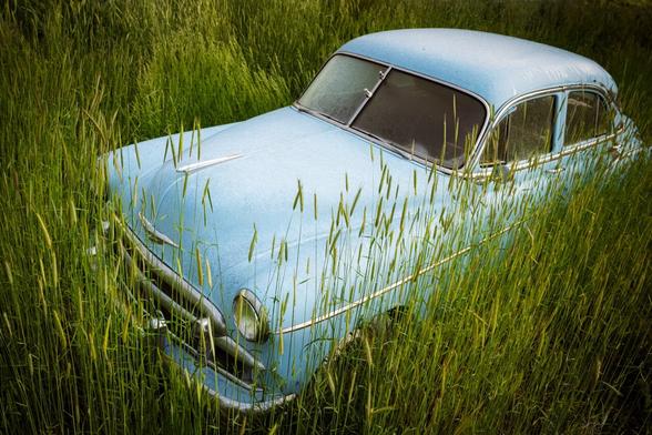 An old car with soft, blue paint left to rust is surrounded by tall green grass.