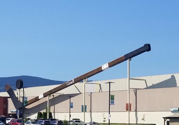 Biggest hockey stick in the world - in Duncan, BC.