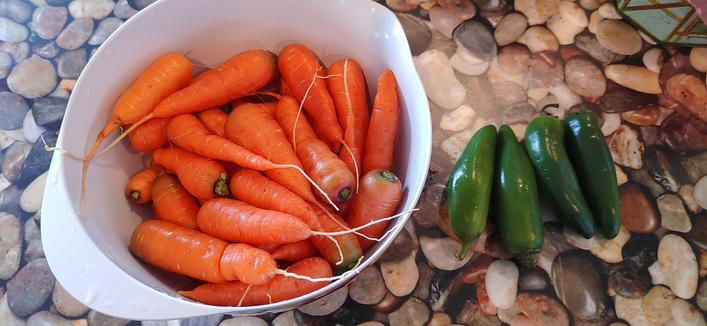 A white plastic 4 quart bowl full of carrots. On the side is 4 jalapeños peppers