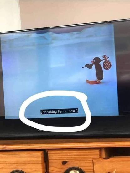 Screenshot of TV with "Pingu" on (just in case, it's a stop-motion animated children's television series).
Subtitle says "[Speaking Penguinese]"