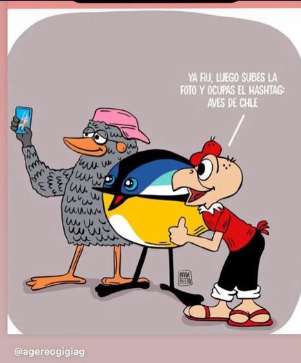 Guru guru se toma una selfie junto a Fiu y Condorito. Condorito dice «Ya Fiu, luego subes la foto y ocupas el hashtag aves de chile»