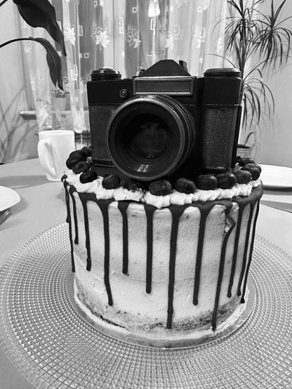 In the photo, a big cake with a Zenith chocolate camera.