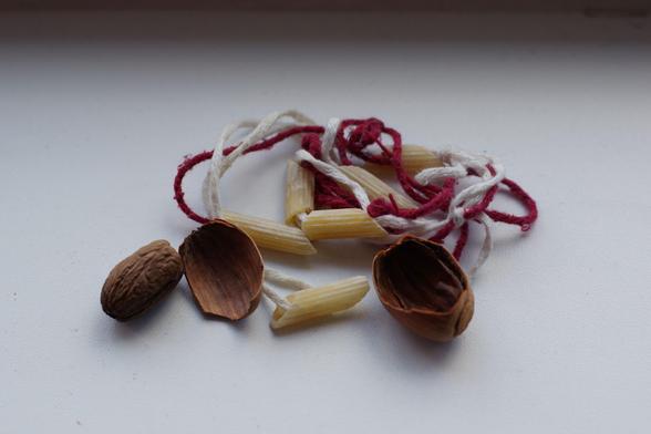 Photograph of penne pasta on white and red strings, and a beech nut with the outside broken into two halves and the nut dried next to them. All on a white background.