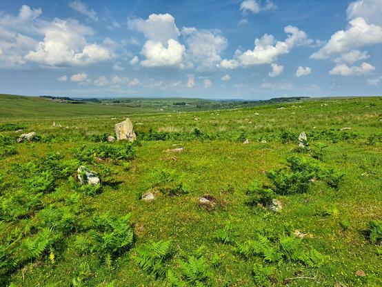 A circle of small granite stones on an open  grassy moorland. This is Trowlesworthy West stone row and cairn circle. Just behind the circle to the left (about 10 o'clock) there is a taller granite slab. This marks the end of the row itself. More of the row can be seen over to the left, receding into the distance. Beyond the circle the grounds drops gently away to a lush valley (the Plym valley) before rising again in the distance to higher ground. It's hot, but early enough not to be brain-melting yet.