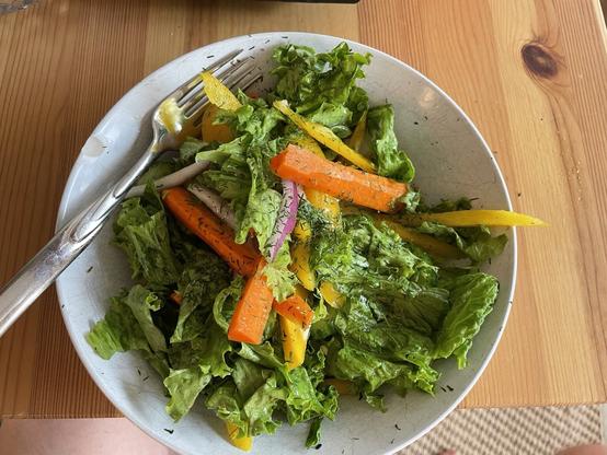 Overhead view of a bowl plate of dill salad with pickled carrots, lettuce, cucumber and yellow pepper slices.