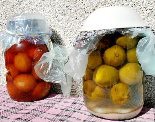 2 large glass jars of salted limes - fermenting outside. Jar on the left is 6 months old & limes are brownish with brownish brine. Jar on right is just over a week old & limes are yellowish green with rock salt at bottom, brine is clear.
Both jars have plastic bags attached over their lids & secured with elastic bands. The jar on the right has tin foil over the plastic & an upside-down ceramic bowl is covering it all.