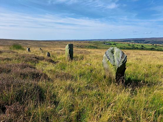 A row of grey-green gritstone standing stones running across a moorland hillside. The stones are surrounded by reedy grass and low heather. The two nearest stones are the tallest in the row. Beyond the stones the hillside drops away to the right. Farm buildings can be seen amongst green fields beyond, and higher moorland rises on the skyline far right. It's sunny and very, very warm.