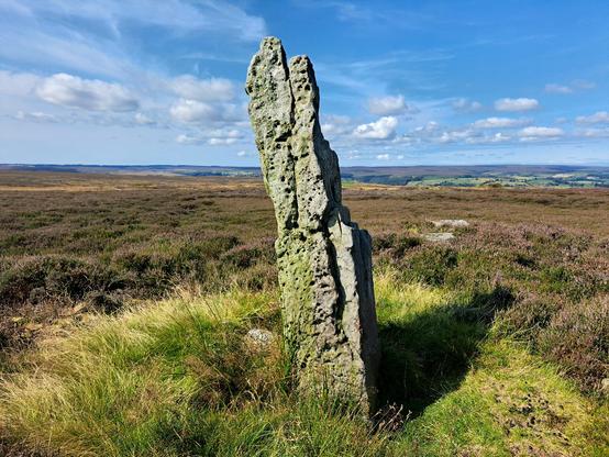 A very tall and thin standing stone, over 7 feet tall, on a moorland plateau. The stone is a slab of holey limestone. The stone leans slightly to the left. Long thin vertical cracks run up the stone, where idiots have hammered coins into the crevices because they are stupid. The stone is surrounded by low heather, which is brightened patches of purple flowers. It's a lovely sunny day and there are long views to further moorland ridges on the distant skyline.