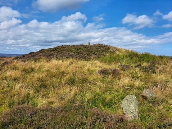 A very large Bronze Age round barrow covered in heather. The barrow stands on the highest point of this Moor. A small standing stone has been placed on tip of the barrow and makes this a very prominent landmark. A couple of small upright stones can be seen in the foreground close to the base of the barrow but it's unclear if they were part of it.