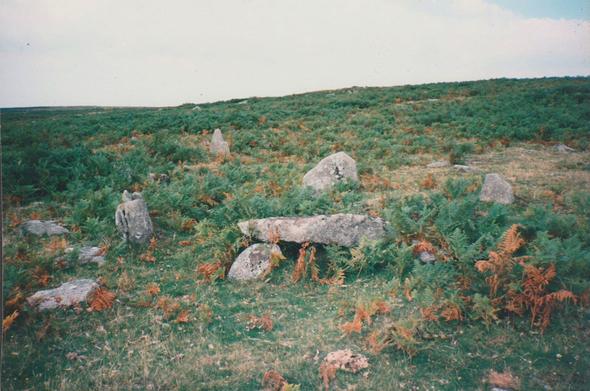 A colour photo, taken on 9th of February 1996, of the Craddock Moor Stone Setting, situated near to Minions and close to The Hurlers Stone Circles on the south-eastern edge of Bodmin Moor. A natural stone is at the centre, covered with a much larger natural stone, possibly originally built as a burial cist. These are surrounded by a 6n diameter circle of 0.5m tall stones and a 1.0m tall menhir can be seen standing about 10m to the north.
