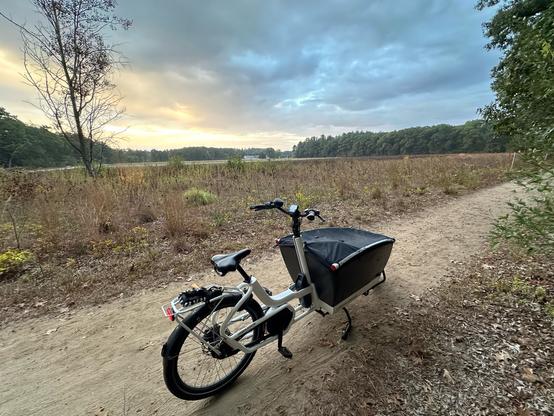 Urban Arrow cargo bike crossing a field at sunrise