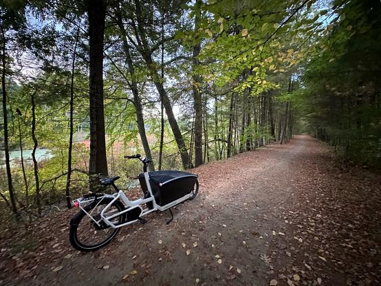 Urban arrow cargo bike on a forest path