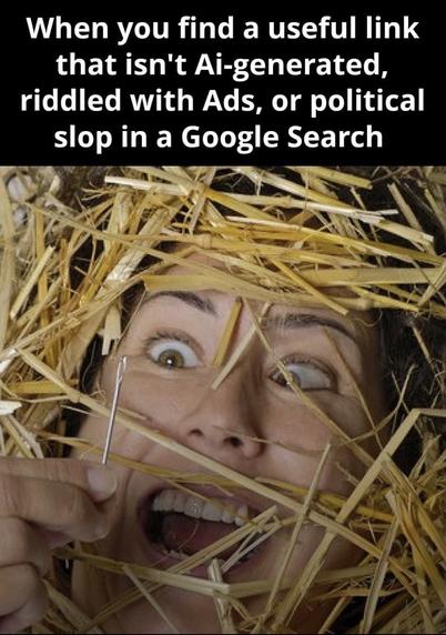 When you find a useful link that isn't AI-generated, riddled with ads, or political slop in a Google Search

[Picture of a person buried in hay, with their face making an expression of triumphant delight as they hold up a single needle in their hand]