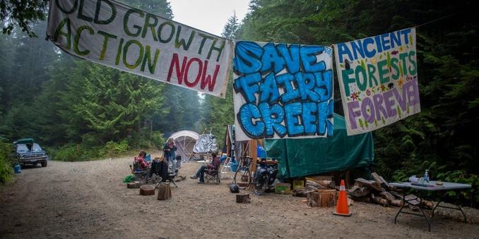 Sitting with a few fellow forest defender activists at our old River camp location on remote logging roads. Guarding our forest protection & colonial resistance camp. We had several similar camps set up, all around Fairy Creek watershed valley.
Painted sign banners are hung up across entry.

Signs read:
OLD GROWTH ACTION NOW

SAVE FAIRY CREEK

ANCIENT FORESTS FOREVER