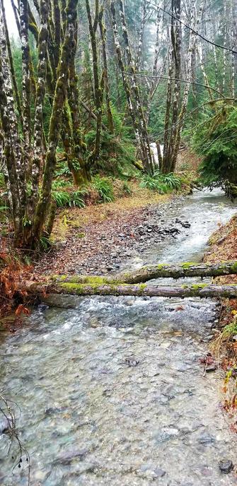 Patrolas Creek in Autumn