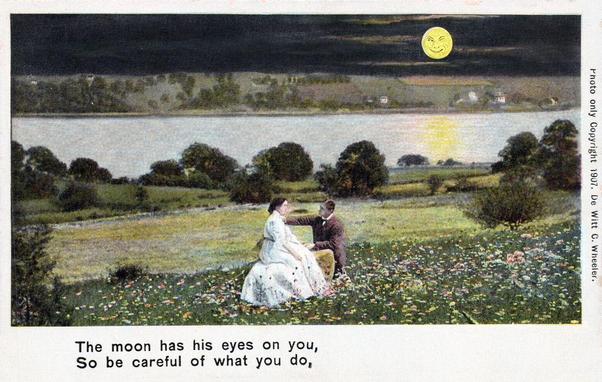 A couple sits in a field of flowers. It is night, and there is a river in the distance. Low in the sky is a moon with a face, and he is winking.