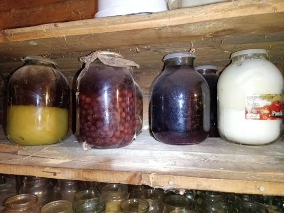 A shelf with a couple extra large jars (~2 liter each, I think) with various preserved items inside. The left one has separated in honey yellow on the bottom and a dark red half on top. Then there's two with fruits, front one smaller with split skins, rear one almost certainly cherries. The next two are dark red and probably wine, or vinegar. The right one is very bright white and solid. Nothing is labeled. The shelf is old, wooden and full of old spiderwebs.