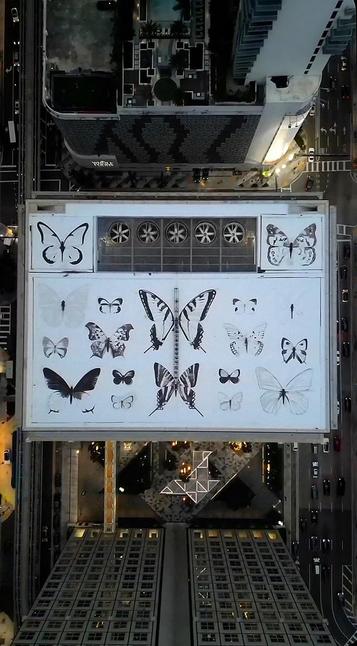 Urbanart. A 35,000 sq foot, black and white mural of butterflies was painted in the snow on the roof of a high-rise building in Miami. The photo was taken with a drone and shows the snow-covered ground on which 18 large butterflies with different patterns and sizes were painted with black paint. The five air conditioning turbines look like small flowers. The view of the surroundings shows more skyscrapers and the dizzying height of the whole thing. Simply magnificent.
Info: The artist "Mantra" alias Youri Cancell paints acrylic paintings with rollers and brushes on multi-storey residential buildings all over the world. As a rule, his butterflies are colorful, as he paints the butterfly species found at the respective location true to nature.