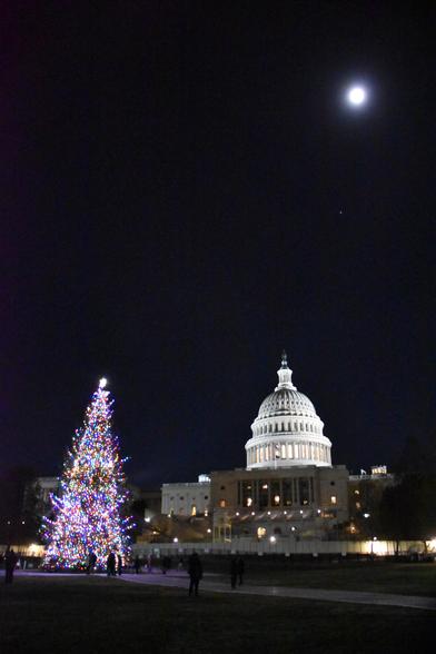 United States Capitol Building with full moon and Christmas tree in the foreground.