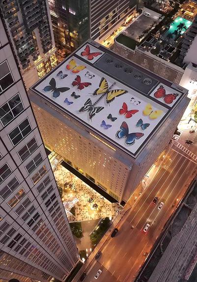 Streetartwall. A 35,000 square meter colorful mural with butterflies was painted on the roof of a high-rise building in Miami. The photo was taken with a drone and shows 18 large butterflies with different patterns and sizes on the floor of the rooftop. The five climate turbines look like small flowers. The view of the surrounding area shows more skyscrapers and the dizzying height of the whole thing. Simply magnificent. This mural was already painted in black and white in the snow in November 2024 and has now been redesigned in color.
Info: The artist "Mantra", alias Youri Cancell, paints acrylic pictures on multi-storey residential buildings all over the world using rollers and brushes. His butterflies are usually colorful, as he paints the butterfly species found at the respective location true to nature.