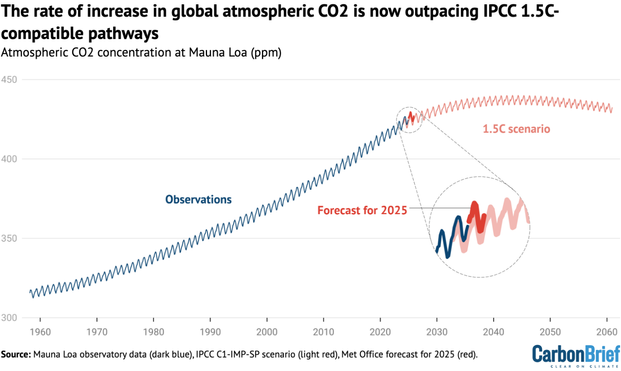 Monthly CO2 concentrations at Mauna Loa from observations up to 2024 (blue) and the IPCC C1-IMP-SP scenario consistent with limiting global warming to 1.5C (light red). Also shown is the Met Office forecast for 2025 (red).