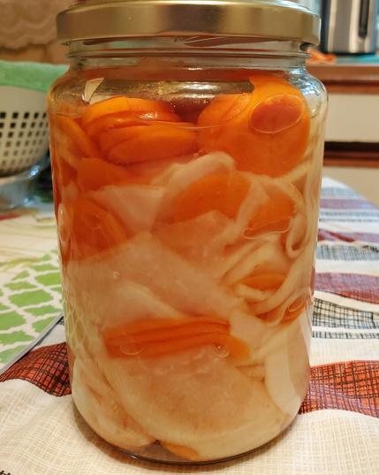 A large glass jar, filled with newly pickled sliced carrots & daikon. Sitting on our kitchen table.