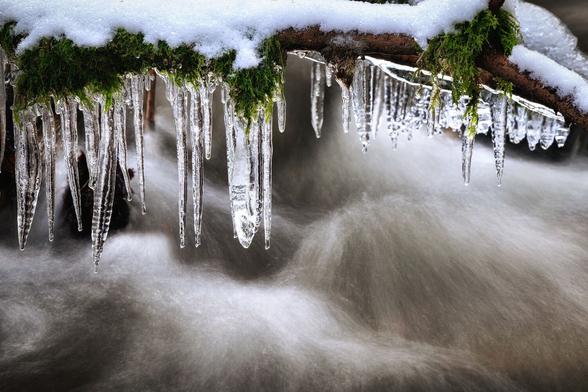 Zu sehen ist ein mit Eiszapfen behangener Ast, auf dem Schnee liegt, Moos anwächst und der über einem Wasserfall hängt.
