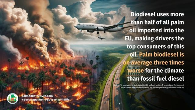 #News: 🌍 69 NGOs urge IMO to exclude #biofuels made from #soy and #palmoil from shipping fuel standards as they threaten #rainforests, food security and #indigenous peoples. #ClimateAction #BoycottPalmOil  https://thenationonlineng.net/international-coalition-kicks-against-biofuels-in-global-shipping/?utm_source=mastodon&utm_medium=Palm+Oil+Detectives&utm_campaign=publer
