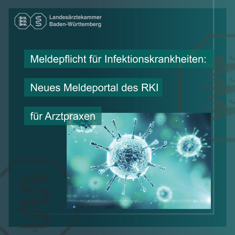Auf dem Bild ist ein Virus zu sehen. Er steht symbolisch für die Infektionskrankheiten, die an die Gesundheitsämter zu melden sind.