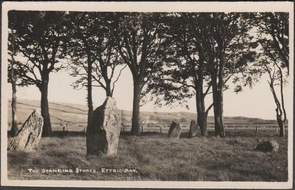A vintage photographic postcard showing Ettrick Bay Stone Circle near Kildavanan on the Isle of Bute in Scotland. The circle has a diameter of about 13m with stones ranging from 0.5 to 2.4m tall. The view shows five of the stones, with two of the taller stones on the left. A row of small trees is just beyond the circle with a small fence on the other side. In the distance can be seen rolling hills and fields with a few small farms and cottages.