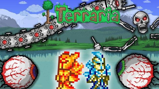 1 Pro, 1 Idiot VS. The Mech Bosses (Terraria #1)