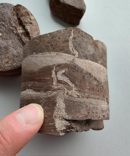 Drillcore from a sedimentary rock showing fluid escape structures