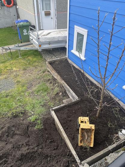 A small apple tree stands in a box of dirt on the right side of the picture. The box is long and goes along the bottom of the side of the house. The house is blue.