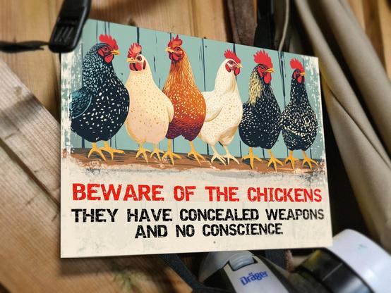 A sublimation printed 8 inch by 6 inch colourful metal sign with an illustration of six chickens. Text beneath the chickens reads "Beware of the chickens. They have concealed weapons and no conscience."