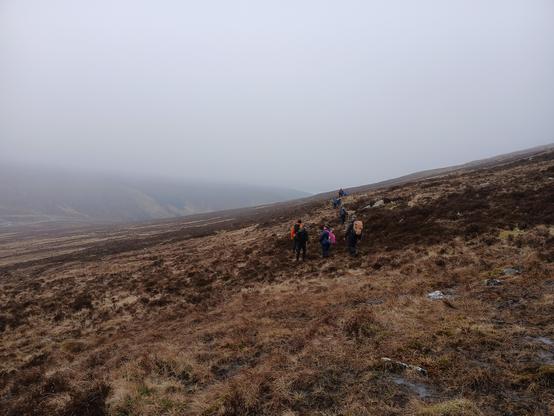 Some of the team on the boggy slopes of Tonelagee.