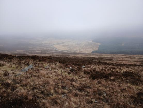More of the slopes and forest around Military Road