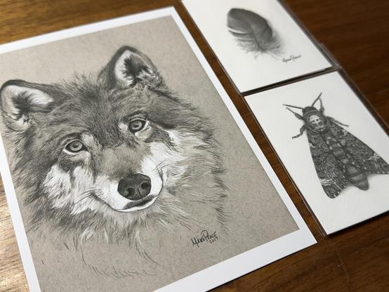 Wolf portrait print and two mini prints
