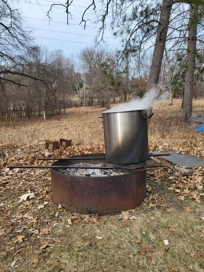 A 10 gallon stainless pot steams on a rusted fire ring. The surrounding yard has pines and is covered in dead oak leaves.