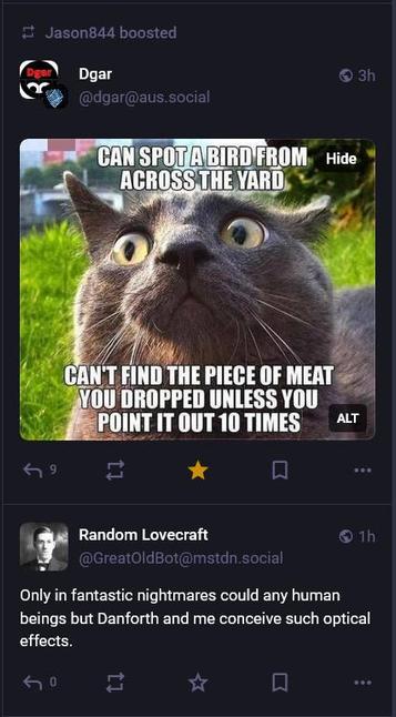 Two posts coincide on my timeline.  Top post - A cat outside on a lawn with an intense look.  Text: CAN SPOT A BIRD FROM ACROSS THE YARD 
CAN'T FIND THE PIECE OF MEAT YOU DROPPED UNLESS YOU POINT IT OUT 10 TIMES.
Bottom post Random Lovecraft Quotation:  Only in fantastic nightmares could any human beings, but Danforth and me, conceive such optical effects.