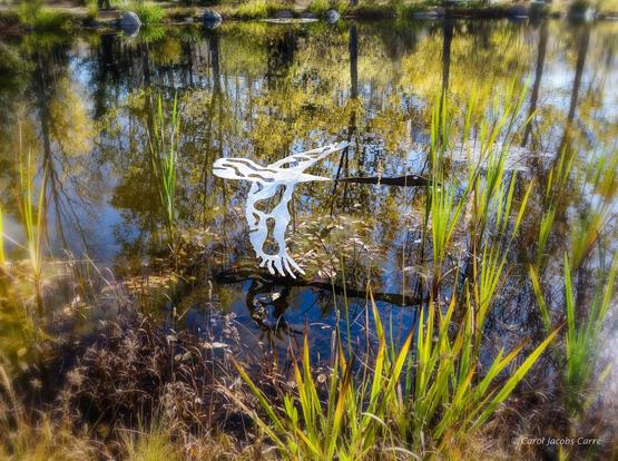 A semi-abstract sheet metal sculpture of a trumpeter swan, with decorative cutouts on the wings and body floats above a pond filled with autumn reflections of the trees surrounding it.  The cattails in the foreground add a dimension of realism to the sculpture.