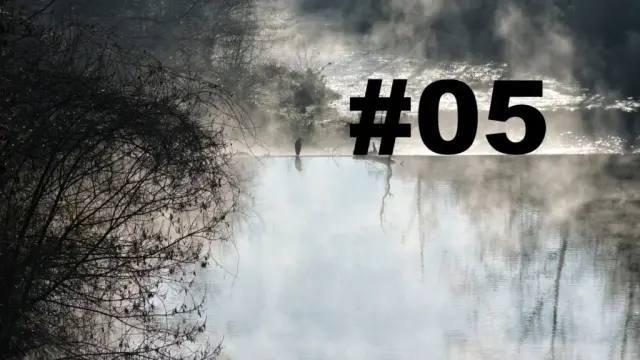 Un oiseau posé sur le bord d'une petite cascade sur un cours d'eau. Un arbre sur la gauche. Au-dessus de l'eau, des brumes de vapeurs. L'eau au premier plan semble sans mouvement, tandis qu'après la cascade le cours d'eau se transforme en torrent. Sur la droite le numéro de la chronique précédé d'un dièse.
